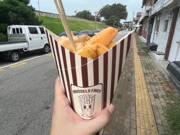  수원 행리단길 맛집 브뤼셀프라이, 8900원에 벨기에 감자튀김 즐겨보기