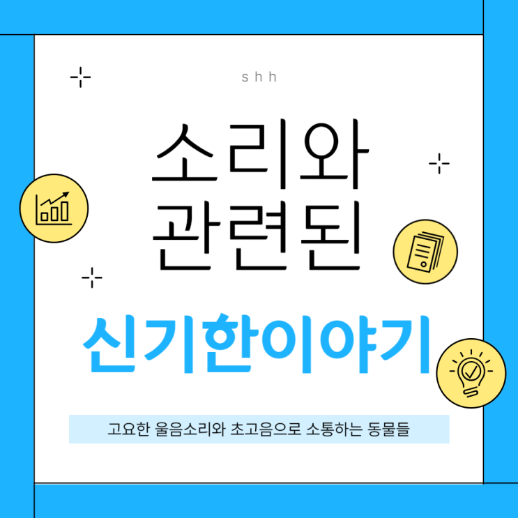  고요한 울음소리와 초고음으로 소통하는 동물들의 신기한 이야기!