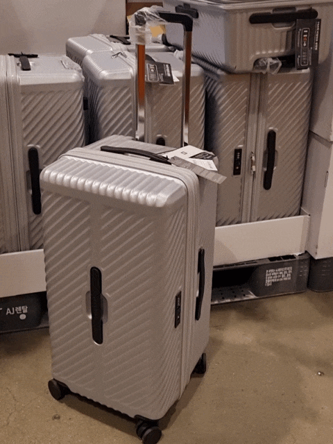  코스트코 브라이튼 캐리어 Brighton Roshine Luggage
