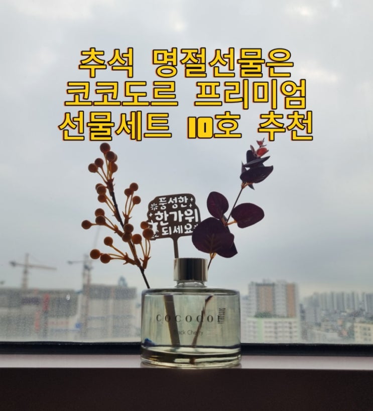  추석 명절선물은 코코도르 프리미엄 추석 선물세트 10호로 골랐습니다