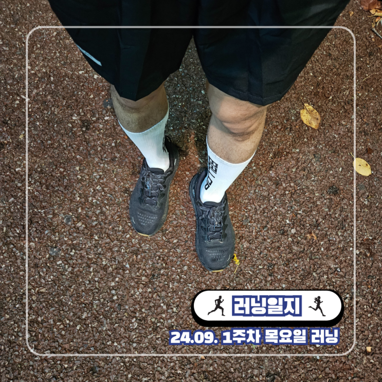  인터벌 트레이닝 삼성 헬스 러닝 수직진폭 강성 갤럭시 워치