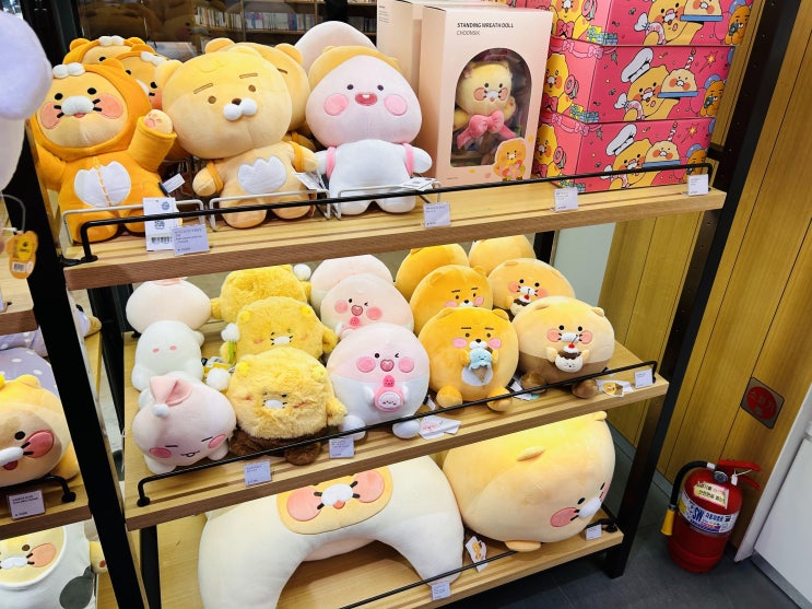  강남 카카오프렌즈매장 코엑스 카카오프렌즈 인형선물 추천
