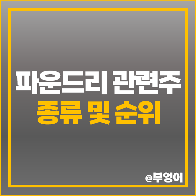 반도체 파운드리 관련주 해성디에스 원익IPS 주가 에프앤에스텍 주식 반도체 파운드리 관련주 해성디에스 원익IPS 주가 에프앤에스텍 주식