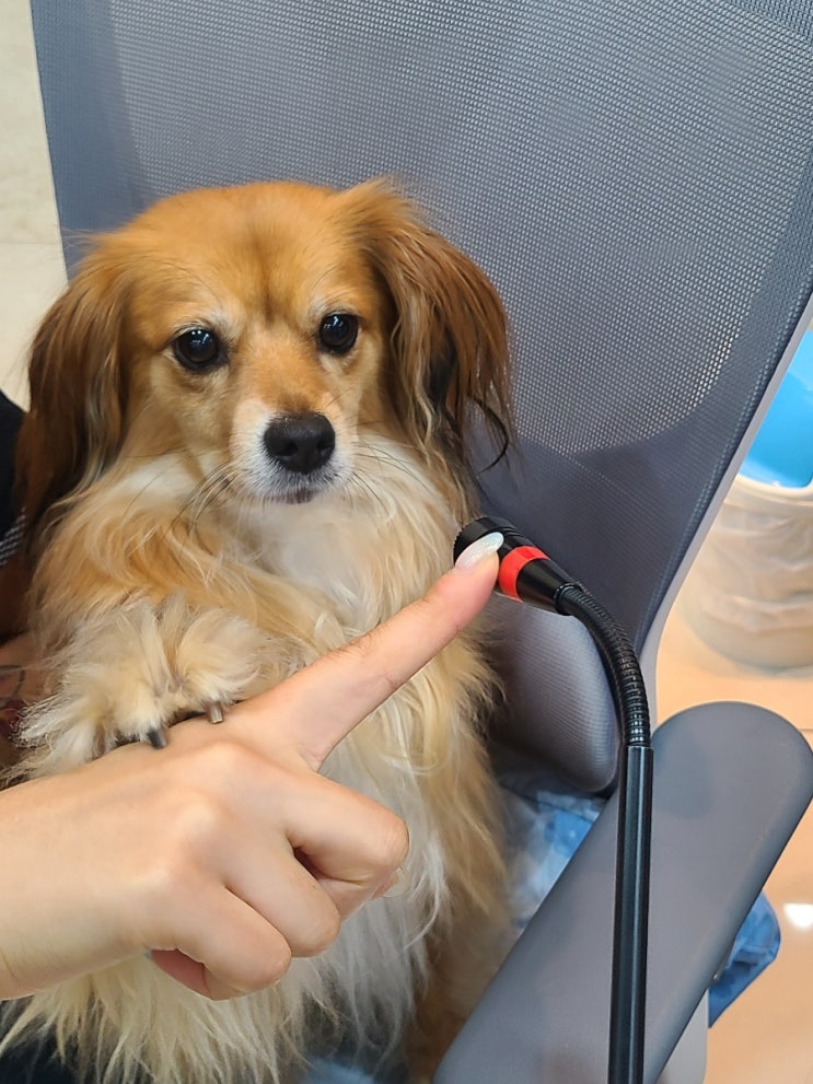  너의 일상이 곧 나의 일상
