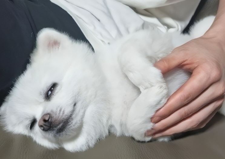 <b>엄태구 팬미팅</b> 추가오픈 티켓팅 인스타 교회 프로필