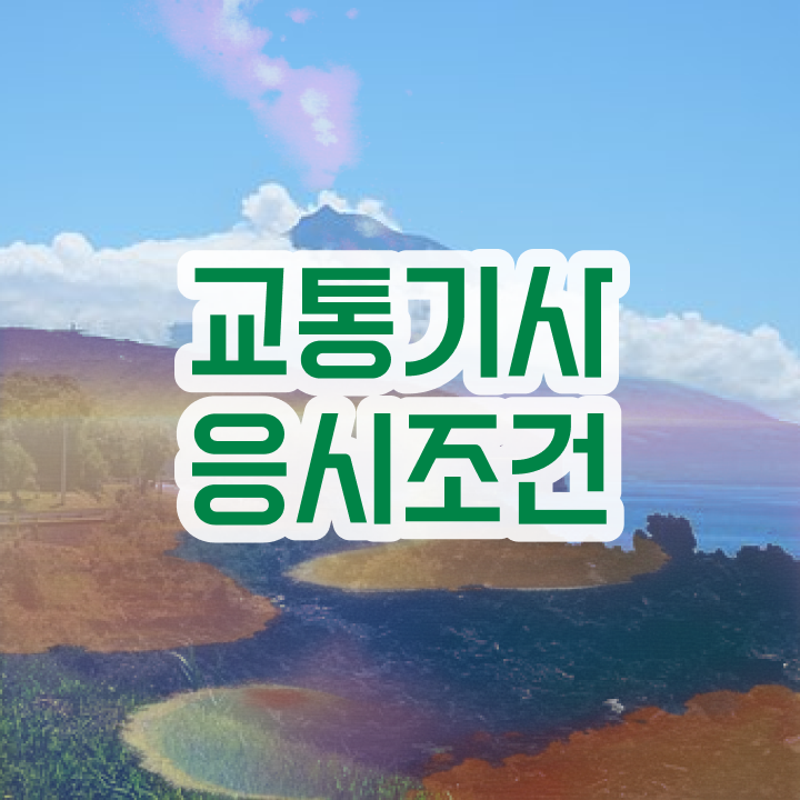  교통 산업기사 교통기사 시험응시자격 온라인 수업으로 간단하게 성공한 방법