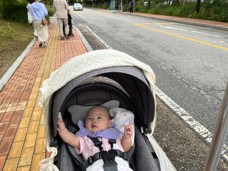  아이와 함께 여름 화담숲 산책 후기