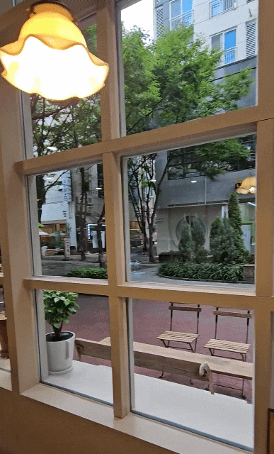  대전 곰에스프레소 둔산법원점, 주말 커피 할인 꿀팁까지!