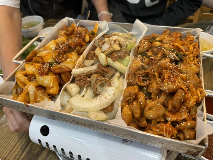  9월 첫째주 점따의 일상따리