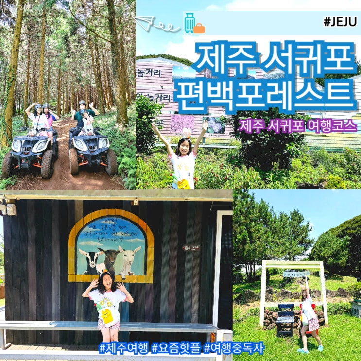  제주 서귀포 여행코스 아이랑 갈만한 곳 편백포레스트