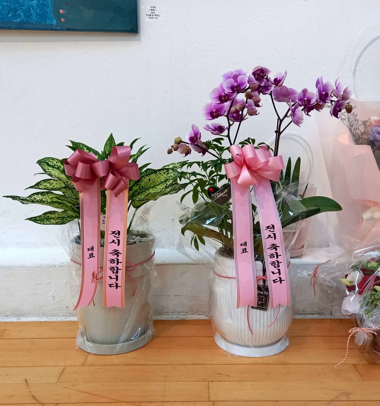  주엽이네 꽃집지기 포토 덤프 아람누리 배송 가서 감동받고 왔습니다