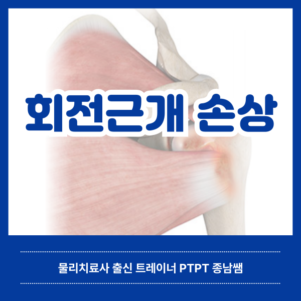  회전근개 손상과 오버헤드 스포츠 [녹양동 헬스매니아]