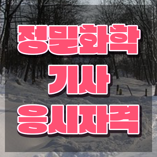  정밀화학기사 자격요건 독학으로 단기간에 준비한 방법