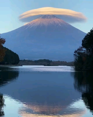 장자 장자