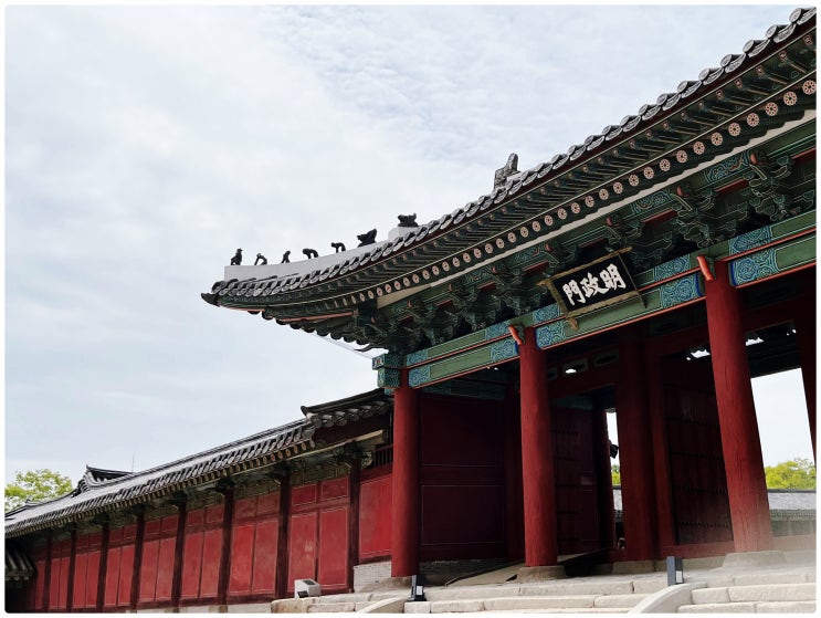  가을 가볼만한곳 창경궁 방문기! 주차와 입장료, 서울고궁 투어 등 여행 이모저모