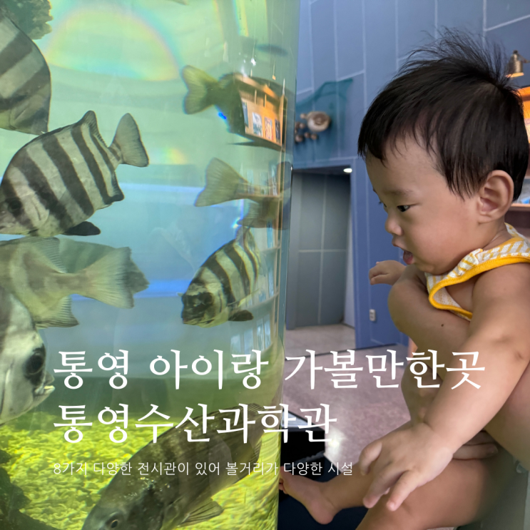 통영 아이랑 가볼만한 곳 통영수산과학관 아이랑통영여행 7개월여행 통영 아이랑 가볼만한 곳 통영수산과학관 아이랑통영여행 7개월여행