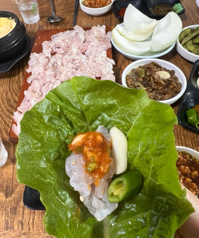 말바우 시장 횟집 하모 회가 맛있는 진도 횟집 추천
