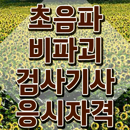  초음파비파괴검사기사 응시조건 온라인으로 간단하게 준비한 비법