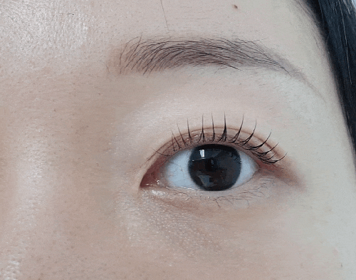  디테일이 다른 퍼스널 디자인 속눈썹펌 수원역 스튜디오 본