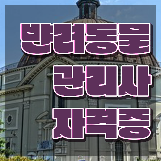  반려견훈련사 , 반려동물관리사 자격증 간단하게 취득한 노하우 및 전망