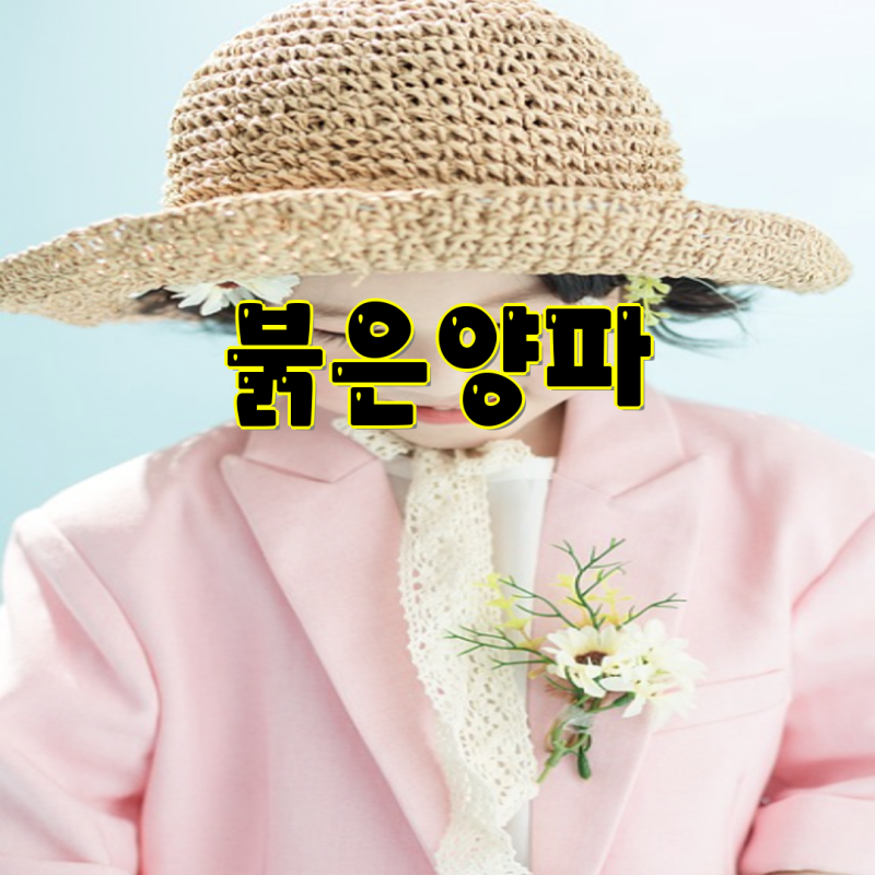 전남 무안 햇자색양파 3kg, 5kg, 10kg 구매 가이드 - 국내산 특대 자색양파 소개! | 자색양파, 햇....
