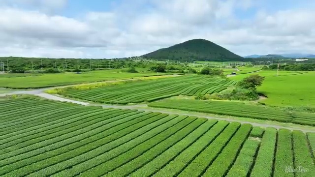  단기 자격증 추천 , 명리심리상담사 온라인 과정 100%로 관련학과 졸업장, 경력없어도 손쉽게 성공한 팁