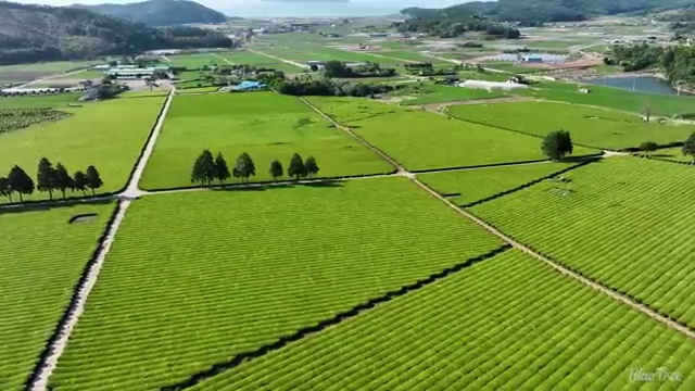  노인 병원 동행 매니저 병원동행 인강만 듣고 공부한 방법