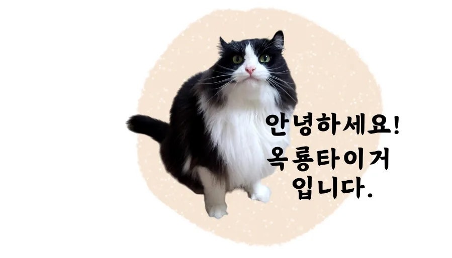 더피자 북구점 사진 2