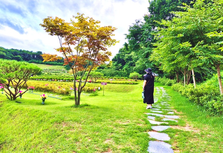  용인수목장 비용과 고려할 요건은?