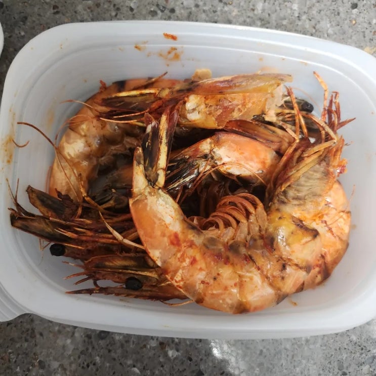  블챌 포토덤프 일상 9월 1주