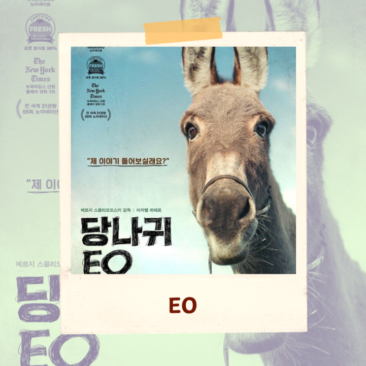  영화<당나귀 EO>결말 해석 리뷰 “당나귀는 사실 예수이다”
