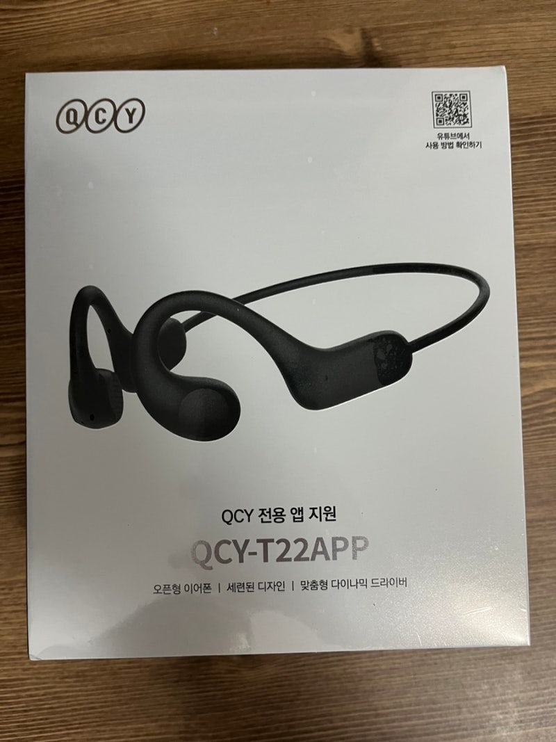 QCY T22 러닝 이어폰