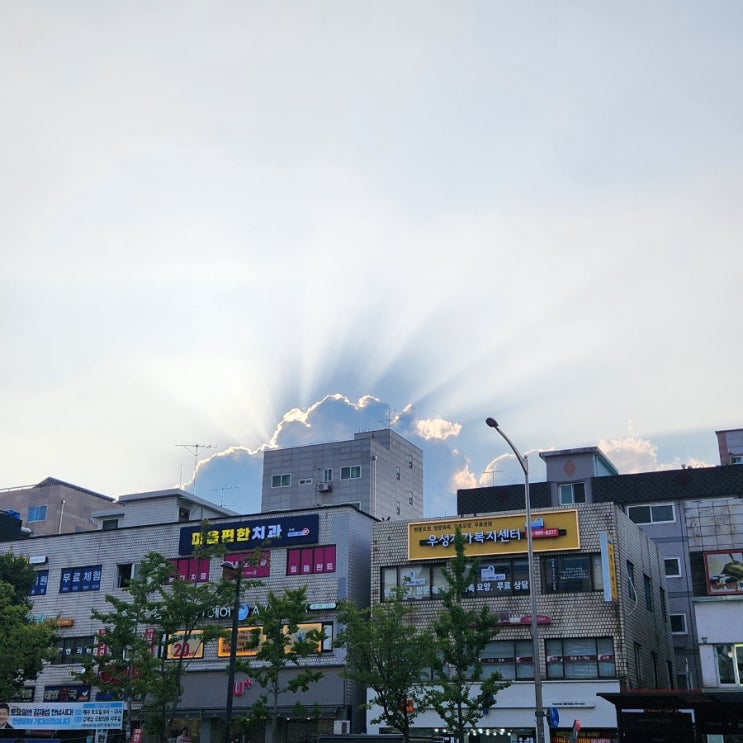  백로