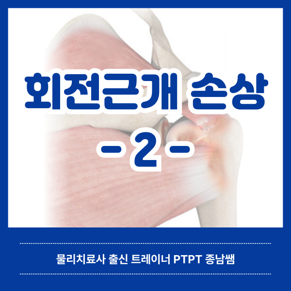  회전근개 손상 2탄 [녹양동 헬스매니아]