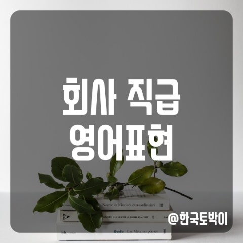 사원 대리 과장 차장 부장 팀장 상무 전무 사장 영어로