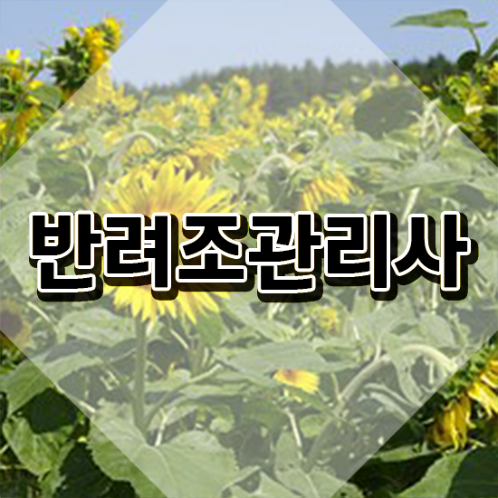  일산앵무새분양 , 반려조관리사 자격증 20일 만에 취득한 방법 확인하기