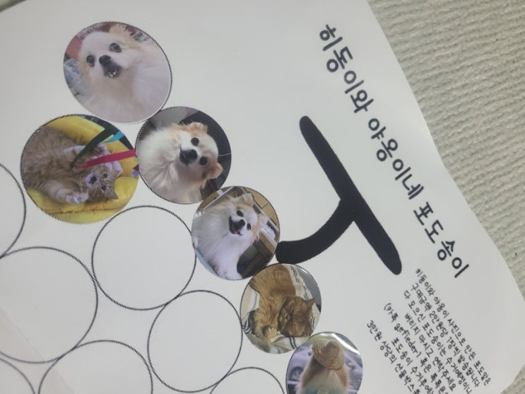  히동이와 야옹이네 | 포도송이 모아서 받은 초호화 럭셔리 사은품