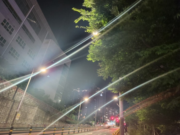  8월 지난 일상기록으로 포토 덤프 챌린지2 시작