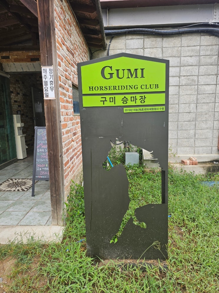  구미승마장 어린이 승마체험