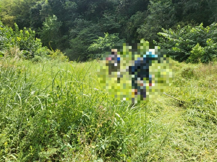  2024년 김천 구성면 금평리 벌초 고인돌장의사 #김천벌초 #선산벌초 #구미벌초 #황간벌초 #성주벌초 #상주벌초 #벌초대행 #벌초 #추석벌초 #손없는날 #윤달 #벌초 #이하늘장사