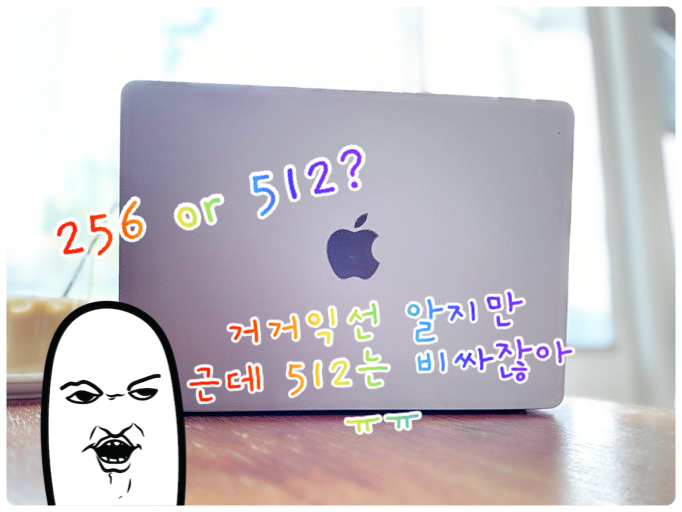  [Q&A] 맥북에어 용량 선택 : 256GB vs 512GB, 기본형 괜찮을까요(for 학생)