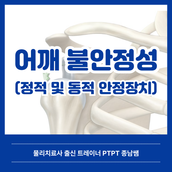  어깨 불안정성의 분류와 치료 [녹양동 헬스매니아]