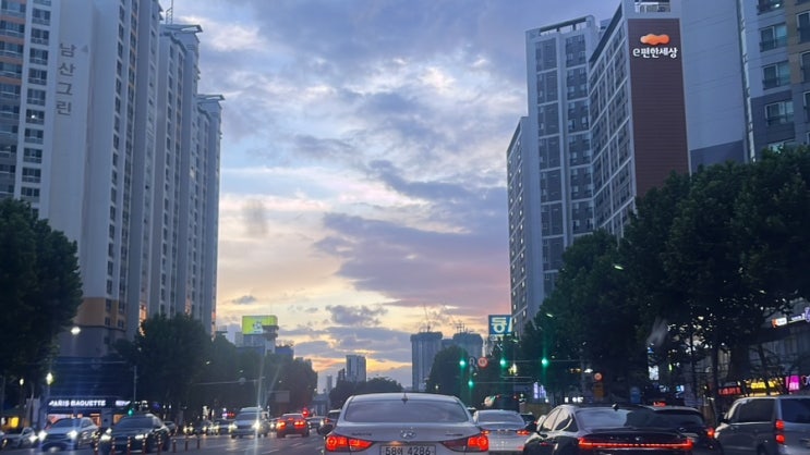  지난 이야기