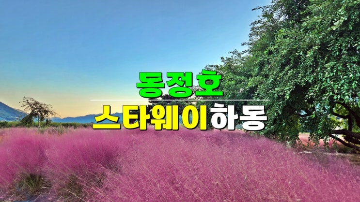경남 하동 핫플 가을여행 가볼만한곳 · 동정호 핑크뮬리 개화시기 출렁다리 · 스타웨이하동 경남 하동 핫플 가을여행 가볼만한곳 · 동정호 핑크뮬리 개화시기 출렁다리 · 스타웨이하동