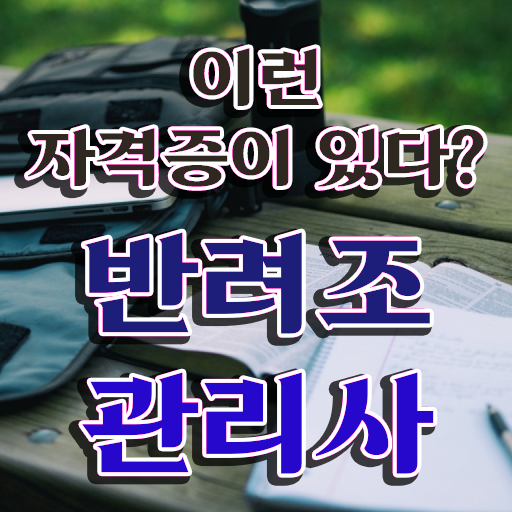 모란앵무 암수 , 반려조관리사 자격증 취득한 방법 보고가세요