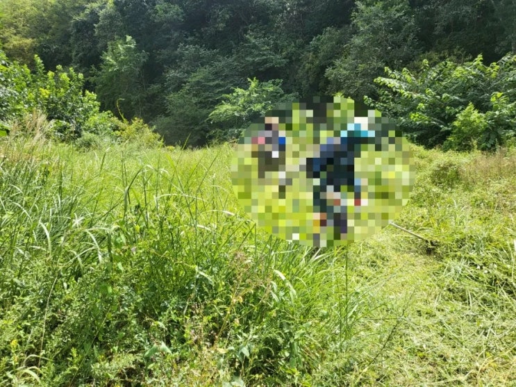  2024년 김천 구성면 금평리 벌초 고인돌장묘개발 #김천벌초 #선산벌초 #구미벌초 #황간벌초 #성주벌초 #상주벌초 #벌초대행 #벌초 #추석벌초 #손없는날 #윤달 #벌초 #이하늘장사