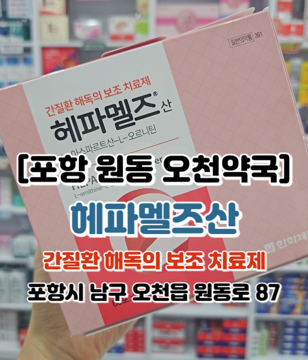  [포항 원동 오천약국] 간질환 해독 보조치료제 헤파멜즈산 간장질환 효능 복용법