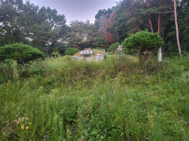  2024년 김천 구성면 광명리 벌초대행 고인돌장묘개발 #김천벌초 #선산벌초 #구미벌초 #황간벌초 #영동벌초 #성주벌초 #상주벌초 #벌초대행 #벌초 #추석벌초 #손없는날 #윤달
