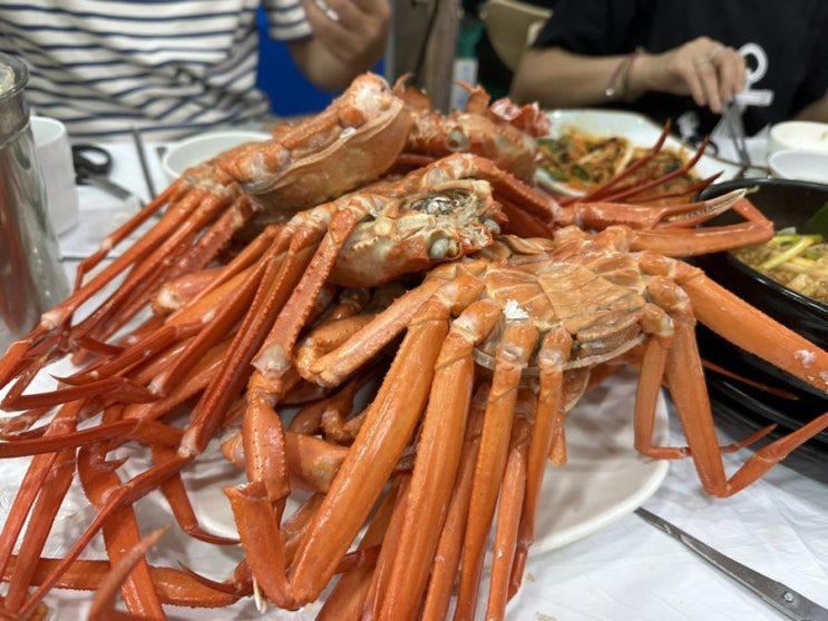  강릉무한리필 주문진 상희네횟집 홍게무한리필
