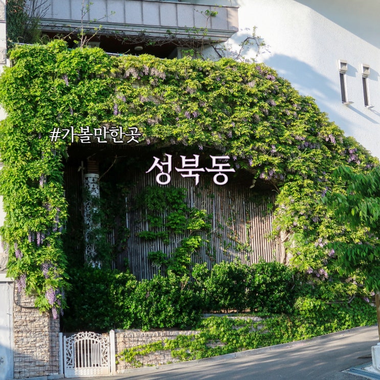서울 성북동 <b>대사관저</b> 등나무꽃 명소 찾아가는 길
